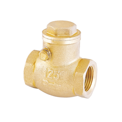 Paslanmaz Tek Yönlü Su Çek Valfı 32mm 22mm Geri Dönüşsüz Valf